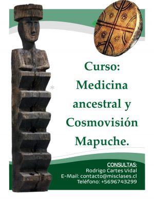 Medicina Ancestral y Cosmovisión Mapuche